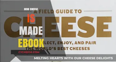 Unveiling the Secrets: A Guide to Cheese-Making