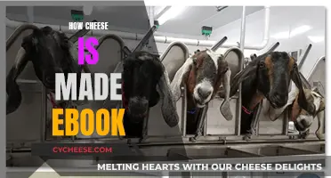 Cheese-Making: A Comprehensive Guide in an Ebook