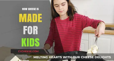 Cheese Magic: From Milk to Snack in 5 Steps!