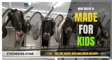 Cheese-Making Process: A Kid-Friendly Explanation