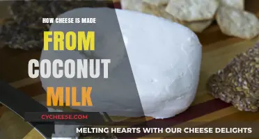 Cheese Craft: Unveiling the Coconut Milk Magic