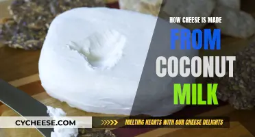 Cheese, Coconut Milk: A Delicious, Dairy-Free Adventure