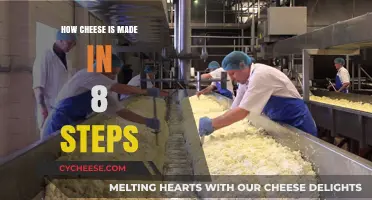 Unveiling the Art of Cheese: A 8-Step Journey from Milk to Masterpiece