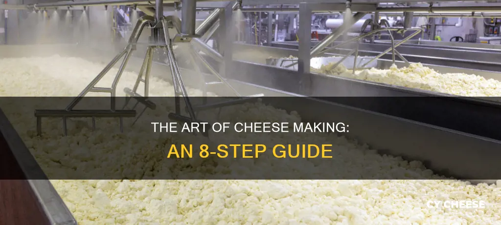 how cheese is made in 8 steps