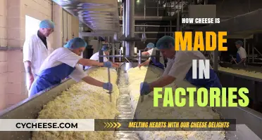 The Art of Factory-Made Cheese: A Process Unveiled