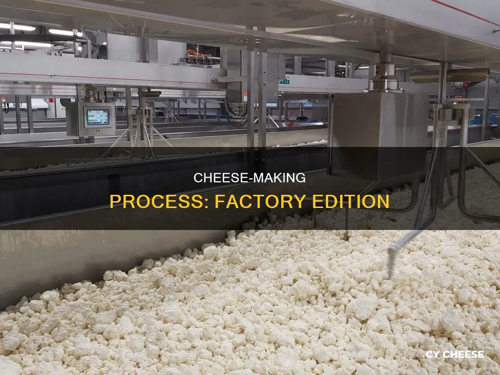 how cheese is made in factories