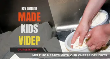 Cheese-Making Process for Kids: A Video Guide