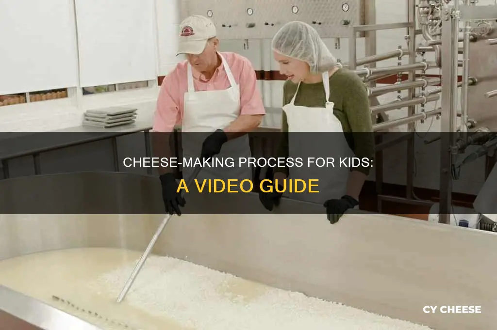 how cheese is made kids videp
