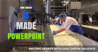 Unveiling the Art of Cheese-Making: A PowerPoint Journey