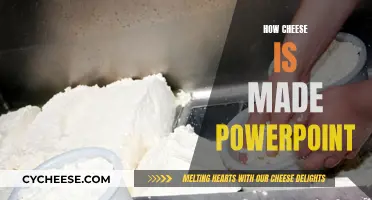 Cheese-Making Process: A Visual Guide in PowerPoint