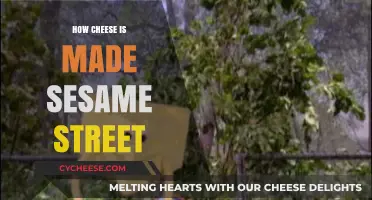 Cheese-Making Fun: A Sesame Street Adventure