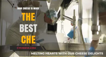 Unveiling the Art of Cheesemaking: Secrets to Crafting the Best Cheese