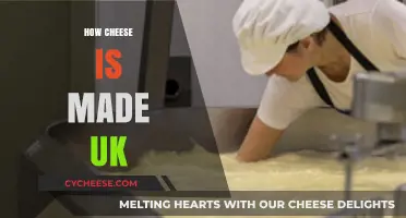 Unveiling the UK's Cheesy Secrets: A Journey from Milk to Cheddar