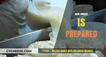 From Milk to Cheese: A Step-by-Step Guide to Cheese Preparation