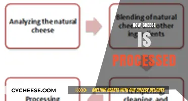 From Milk to Cheese: The Art and Science of Cheese Processing