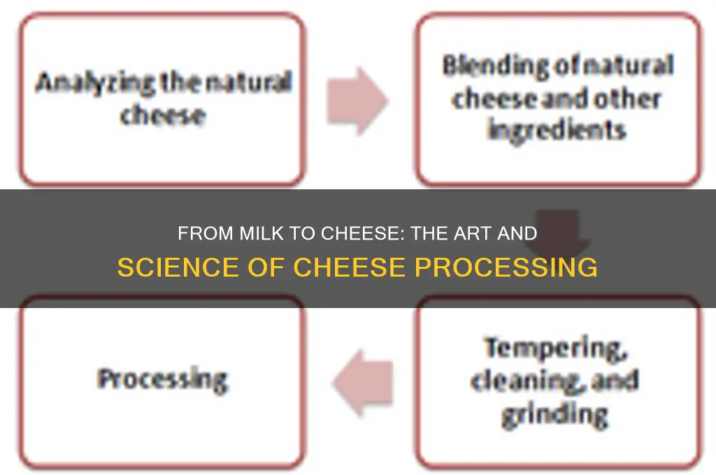 how cheese is processed