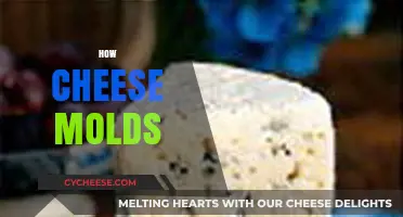 Understanding Cheese Molding: Causes, Prevention, and Safe Consumption Tips