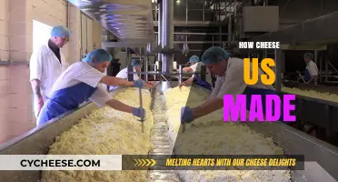 Unveiling the Art of Cheese-Making: A Journey from Milk to Magic