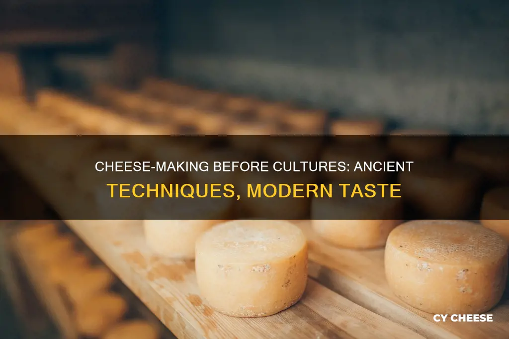 how cheese was made before cultures