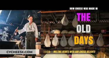 Cheese's Ancient Origins: A Journey Through Time