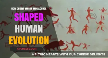 Cheese, Wheat, Alcohol: Unraveling Their Role in Human Evolution