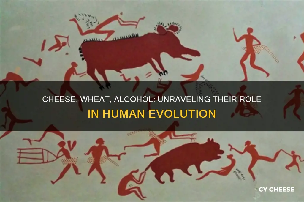 how cheese wheat and alcohol shaped human evolution