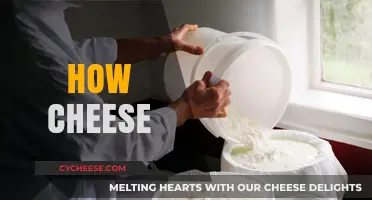 How Cheese is Made: A Delicious Journey from Milk to Table