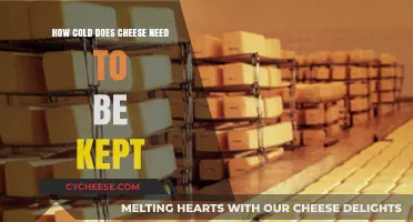 Optimal Cheese Storage: Ideal Temperature for Freshness and Flavor