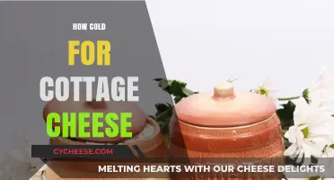 How Cold Should Cottage Cheese Be Stored? A Complete Guide