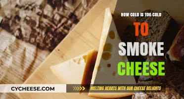 Chilling Cheese: Finding the Perfect Cold Temperature for Smoking