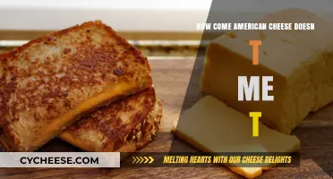 Why American Cheese Doesn't Melt: Unraveling the Mystery