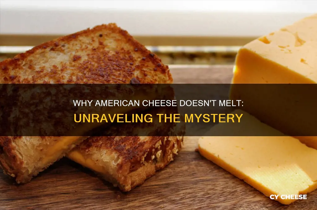 how come american cheese doesn t me t