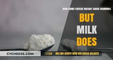 Why Cheese Spares Your Stomach While Milk Triggers Diarrhea