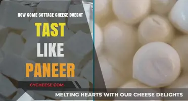 Why Cottage Cheese and Paneer Taste Different: Exploring the Reasons
