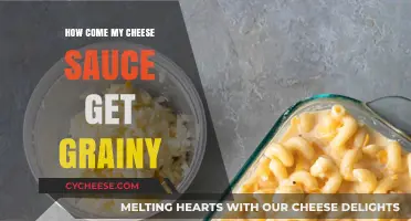Troubleshooting Grainy Cheese Sauce: Tips for Smoothness