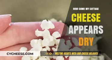 Why Is My Cottage Cheese Dry? Causes and Solutions Explained