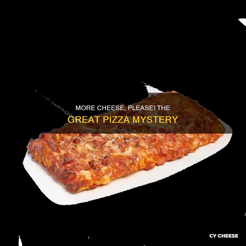 how come you didn t bring more cheese pizzas