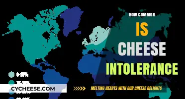 Understanding Cheese Intolerance: How Common Is It and Why?