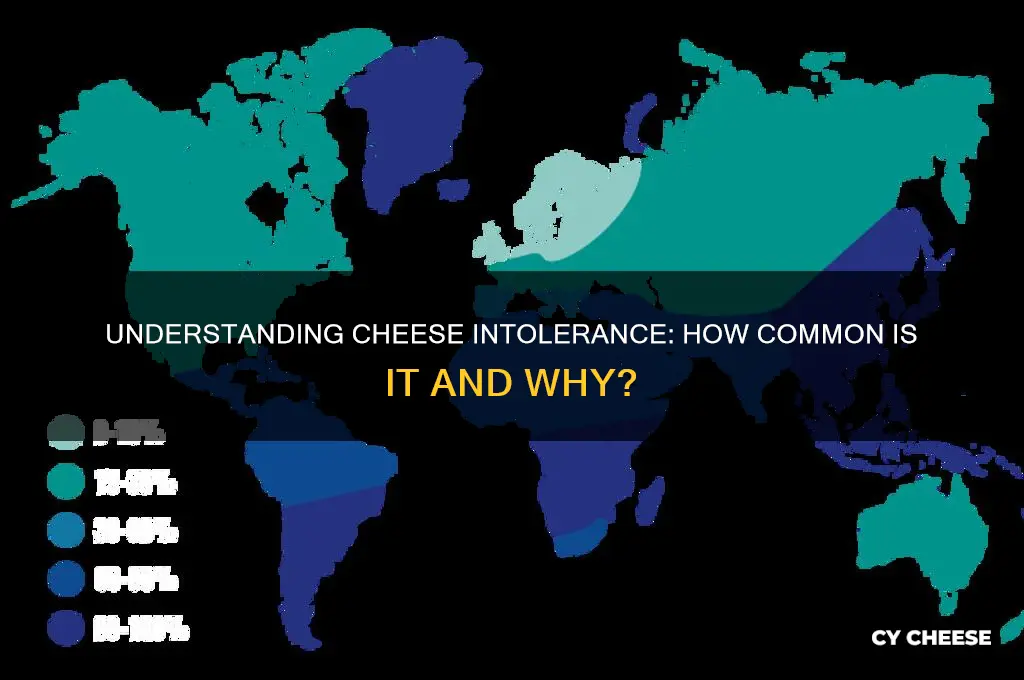 how common is cheese intolerance