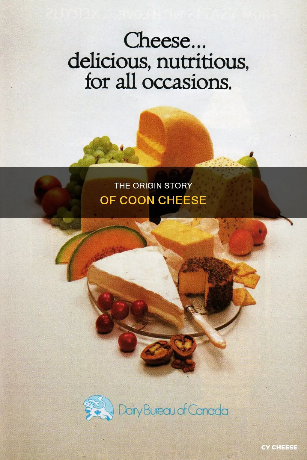 how coon cheese get its name