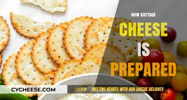 From Curds to Creamy Delight: The Art of Making Cottage Cheese