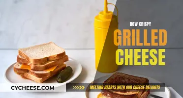 Perfecting the Crispy Grilled Cheese: Techniques for Crunchy Deliciousness