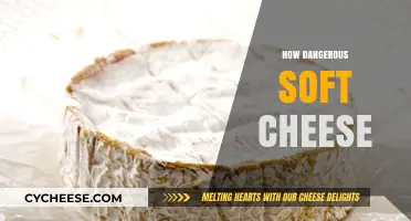 Soft Cheese Risks: Uncovering Potential Dangers in Your Favorite Dairy Delight