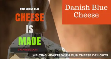 Unveiling the Secrets: Danish Blue Cheese Craftsmanship