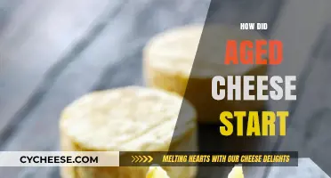 The Ancient Origins and Evolution of Aged Cheese