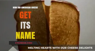 American Cheese: A Historical Naming Process