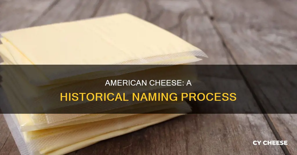 how did american cheese get its name