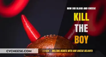 Blood and Cheese: The Tragic Death of a Young Boy Explained