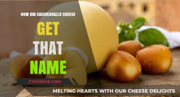 The Origin of Caciocavallo Cheese's Unique Name