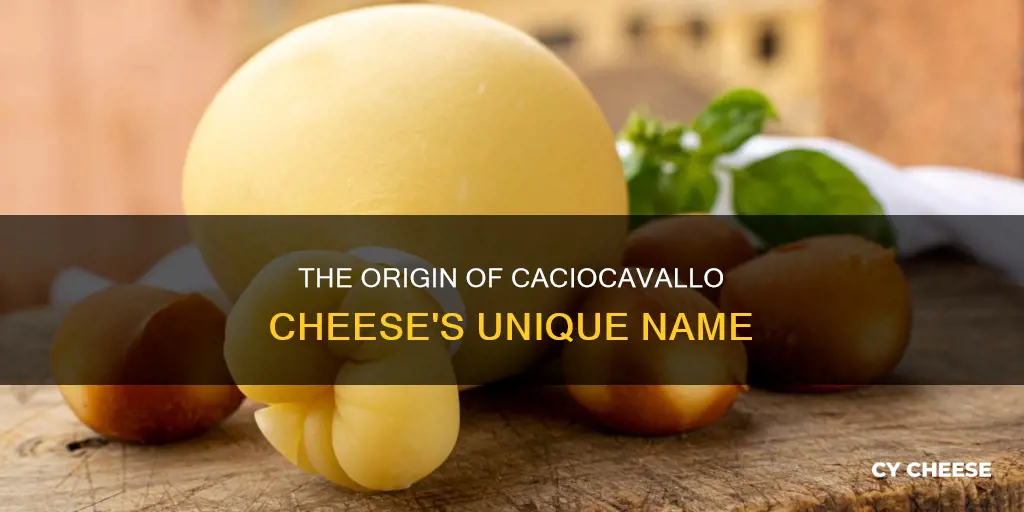 how did caciocavallo cheese get that name